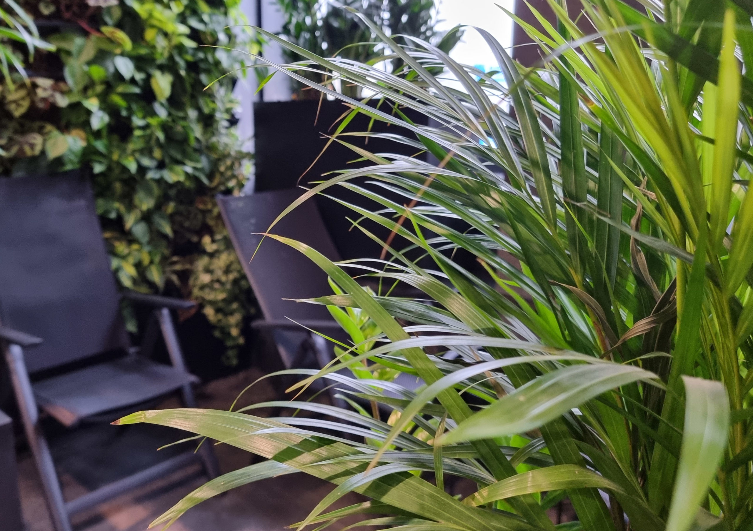 Green Corner with hydrogen